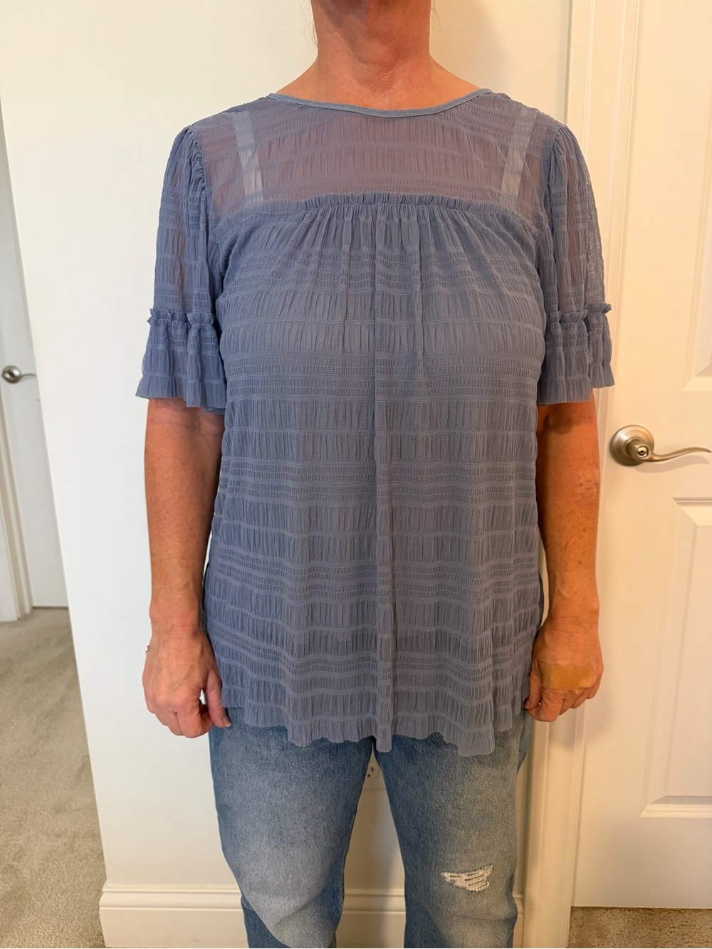 Max Studio Sheer Yoke Textured Short Sleeve Top - Slate Blue